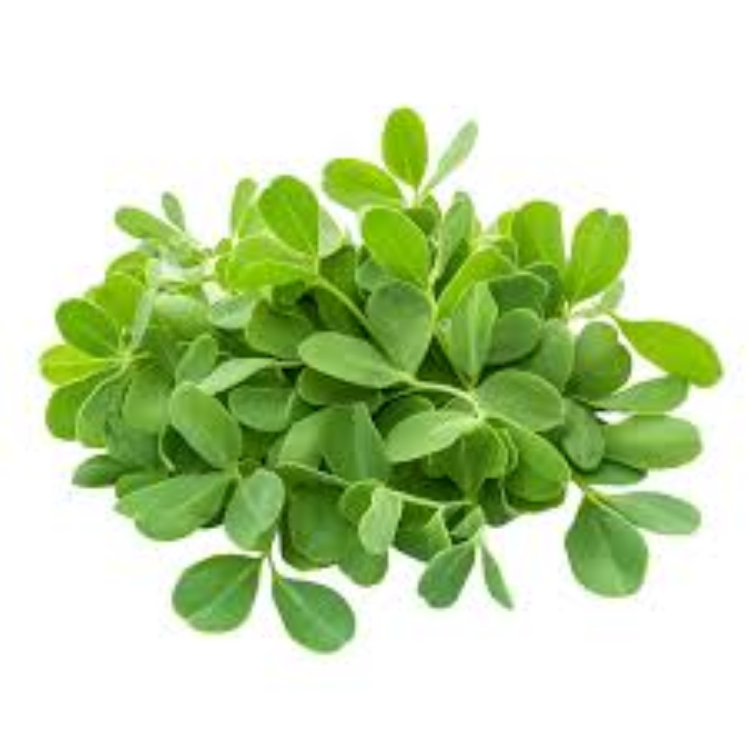FRESH METHI
